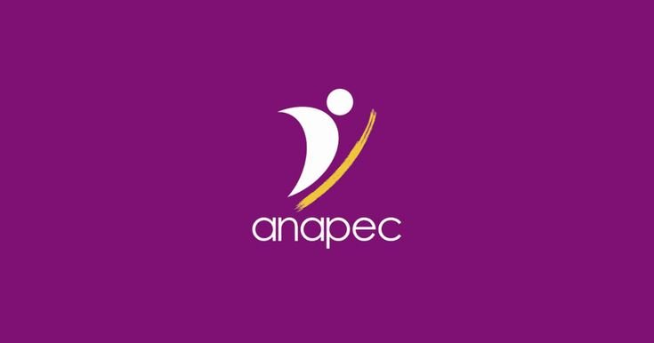 L’ANAPEC recrute 120 opérateurs sur machines automatiques en CDD à Bouknadel