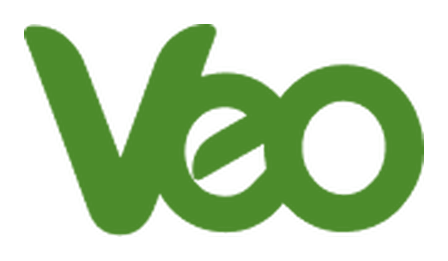 Logo VEO Worldwide Services