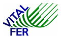 Logo Vital Fer